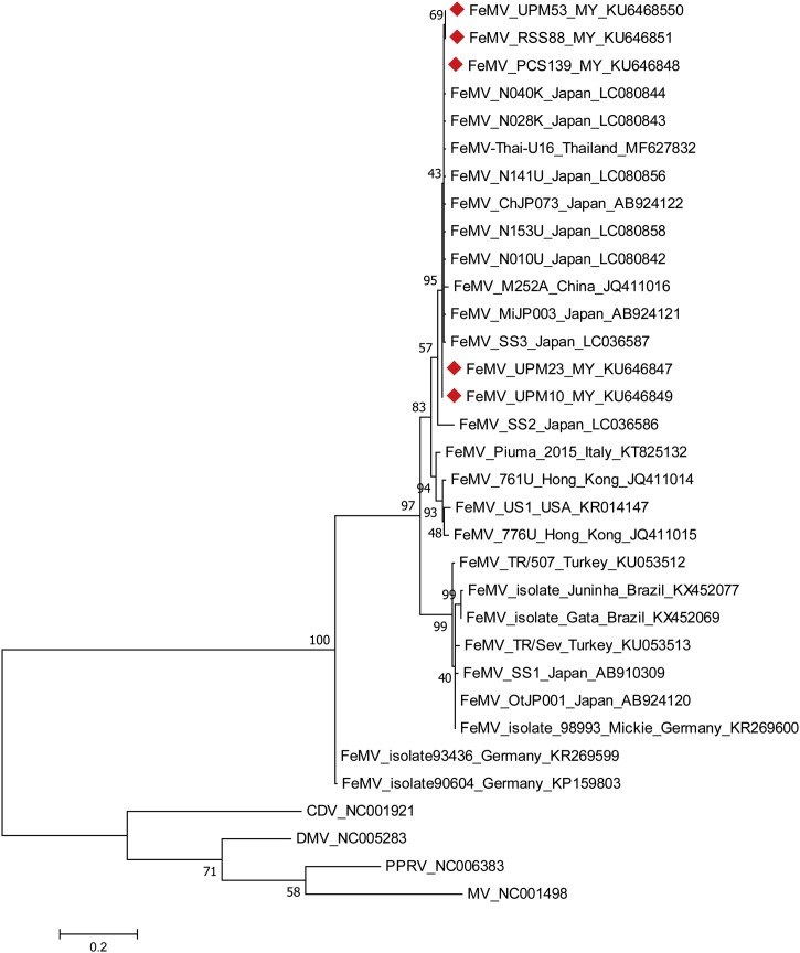 Fig. 2