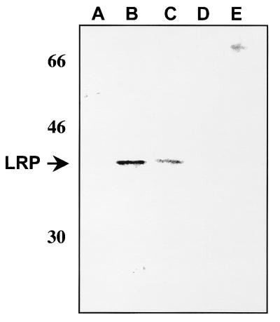 FIG. 5