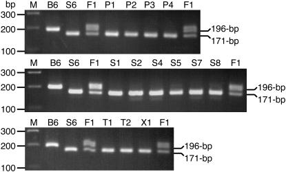 Figure 2.—