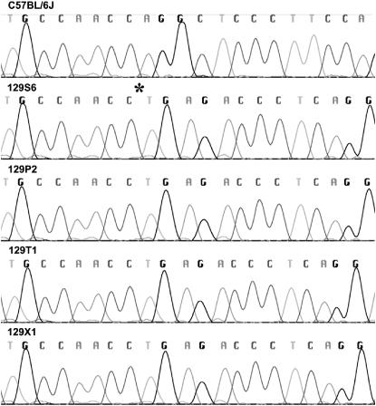 Figure 3.—