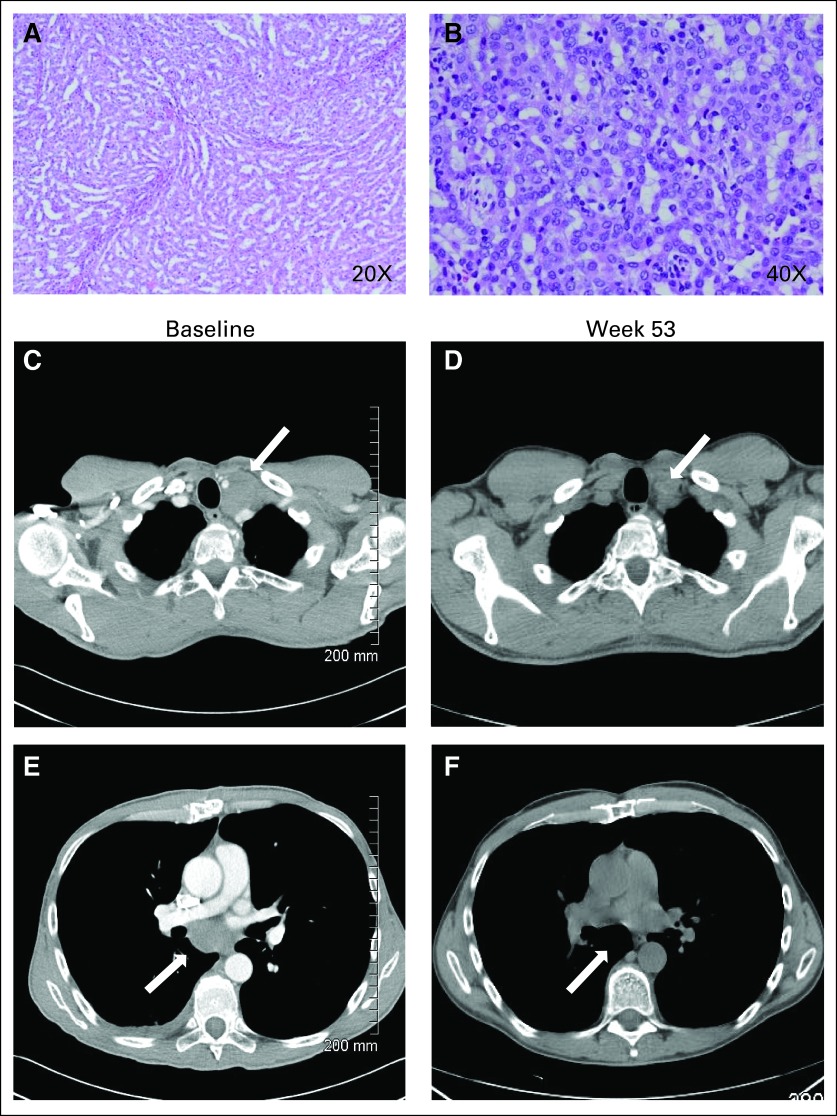 Fig 1.