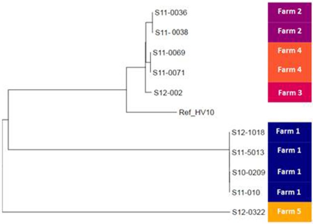 Figure 2