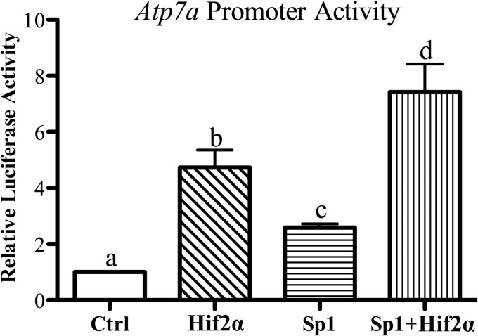 FIGURE 7.