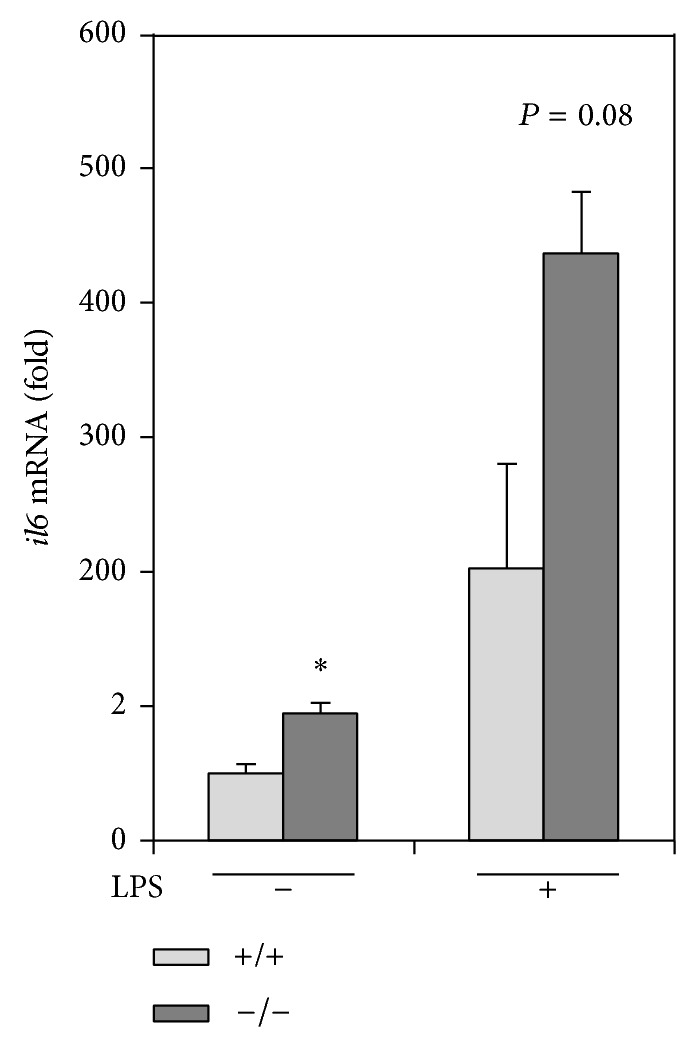 Figure 5