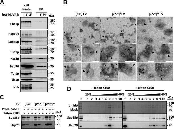 FIG 1 