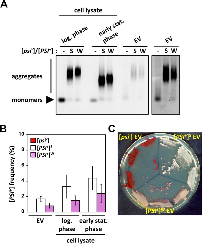 FIG 2 