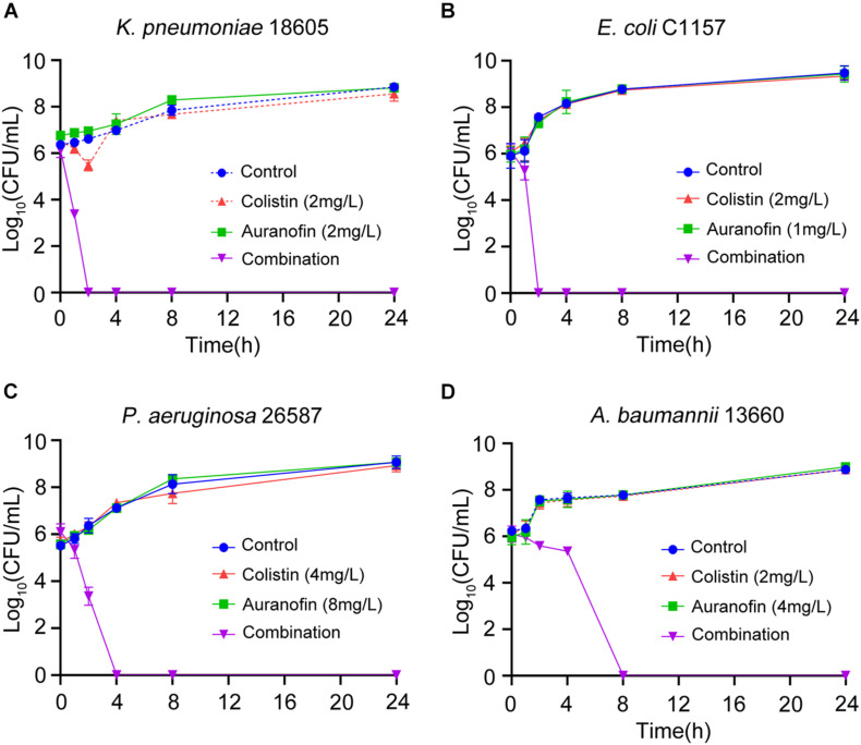 FIGURE 2