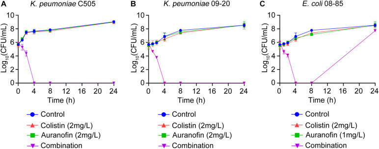 FIGURE 1