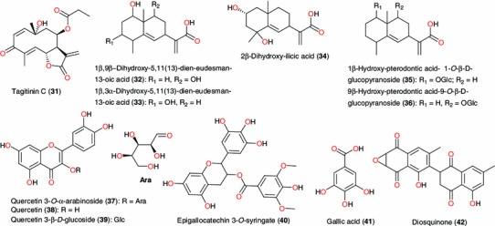 Fig. 3