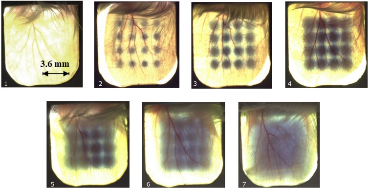 Fig 2