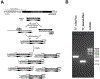 Figure 2: