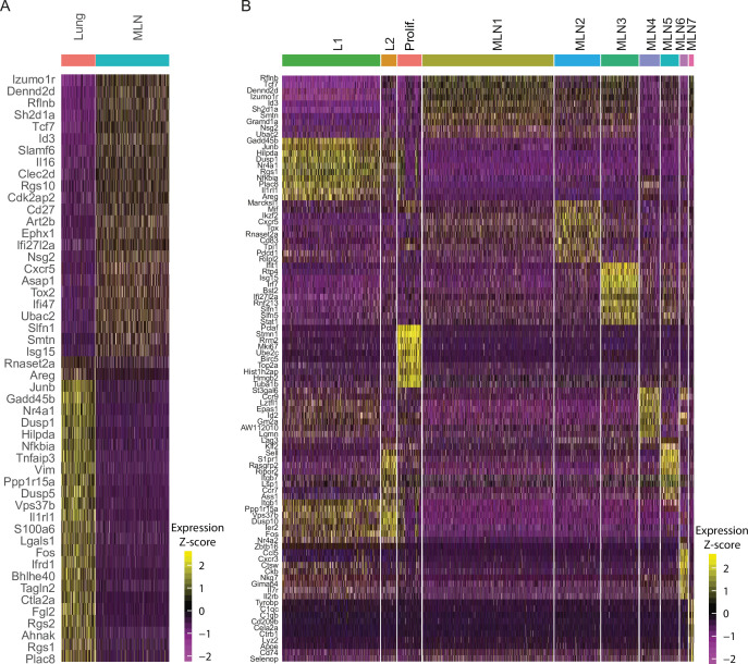 Figure 1—figure supplement 2.