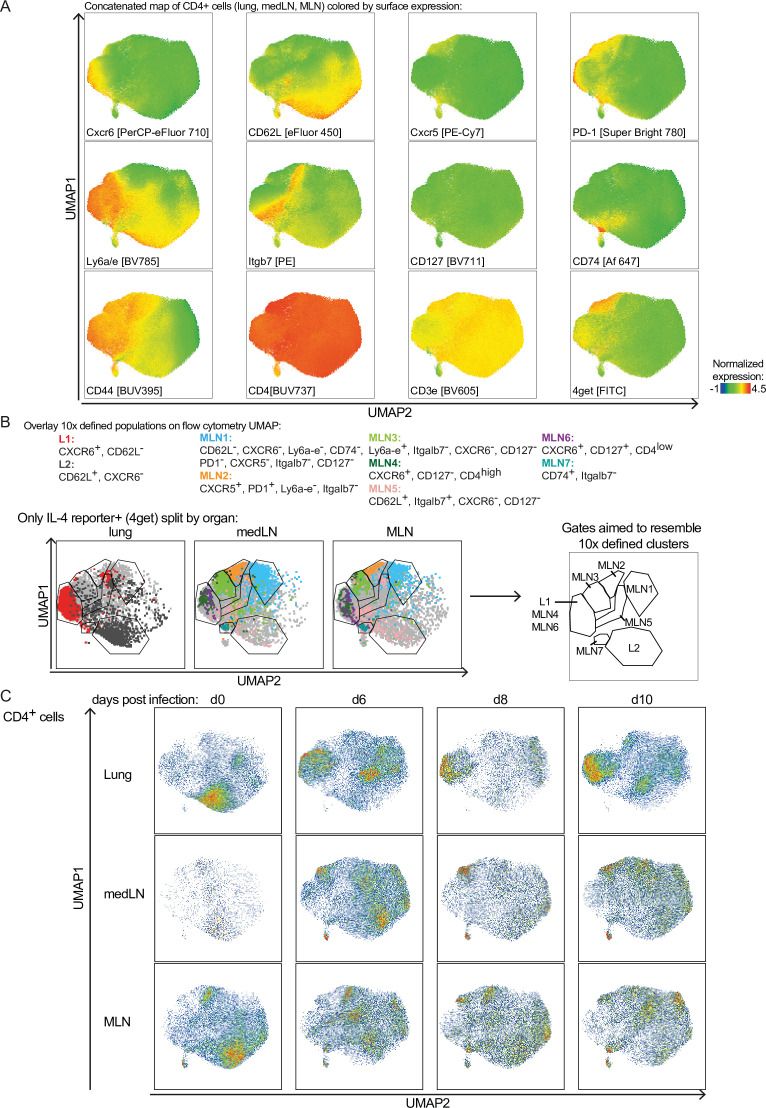 Figure 3—figure supplement 1.