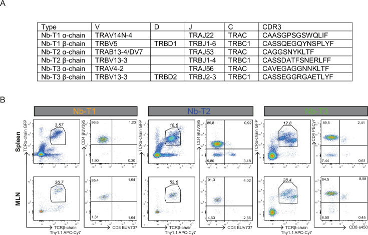 Figure 6—figure supplement 1.