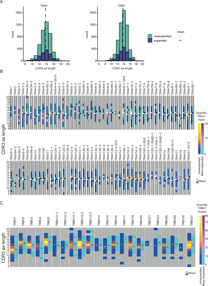 Figure 5—figure supplement 2.