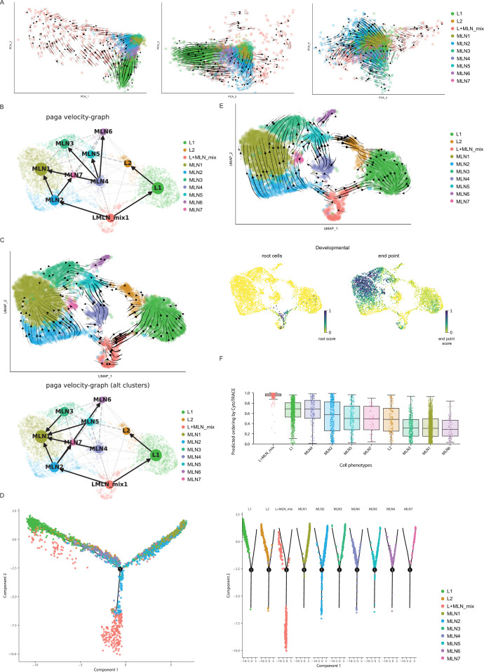 Figure 2—figure supplement 3.