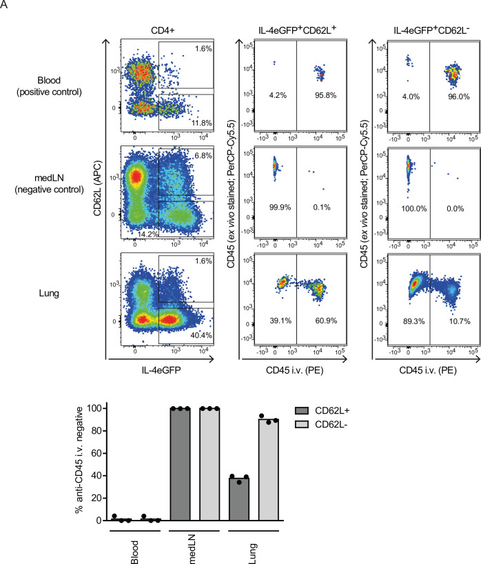 Figure 2—figure supplement 1.