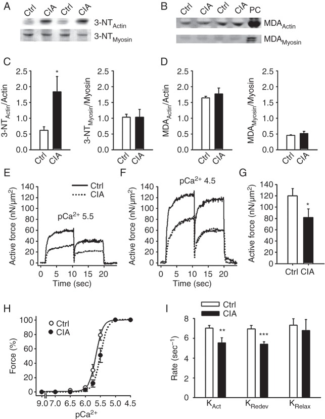 Figure 5