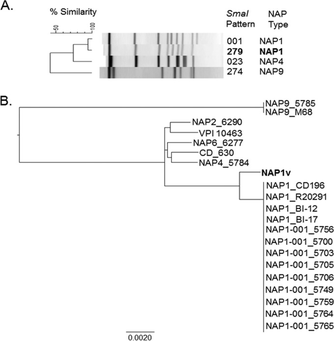 FIG 1