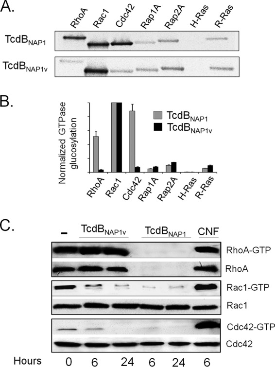 FIG 4