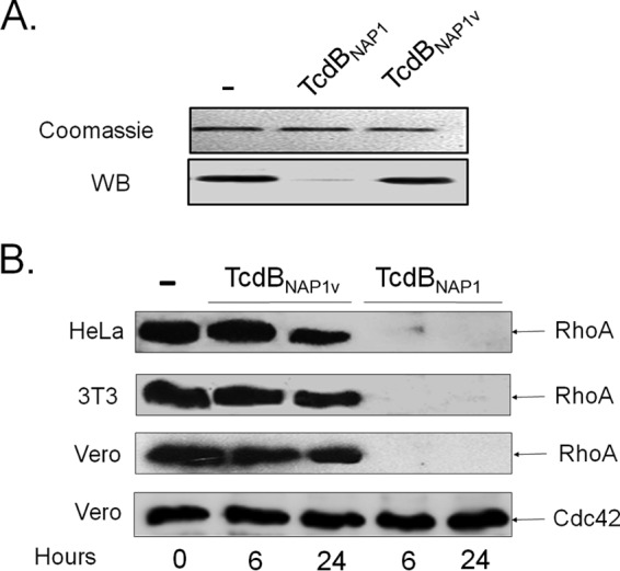 FIG 5