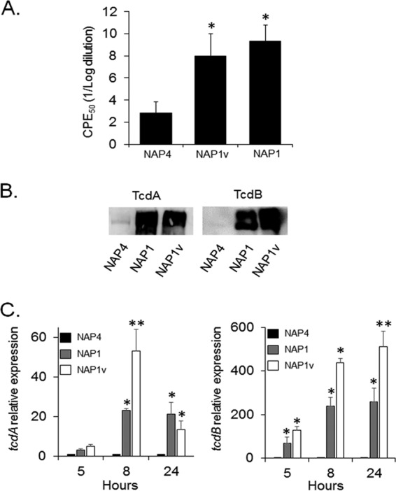 FIG 2