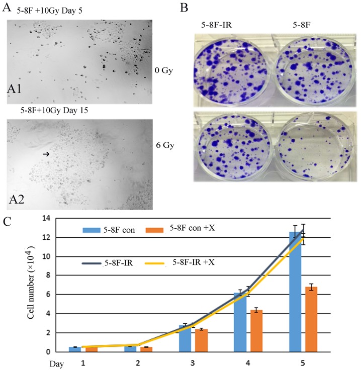 Figure 3.