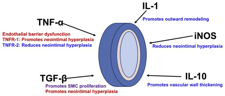 Fig 3