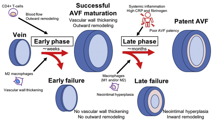 Fig 1