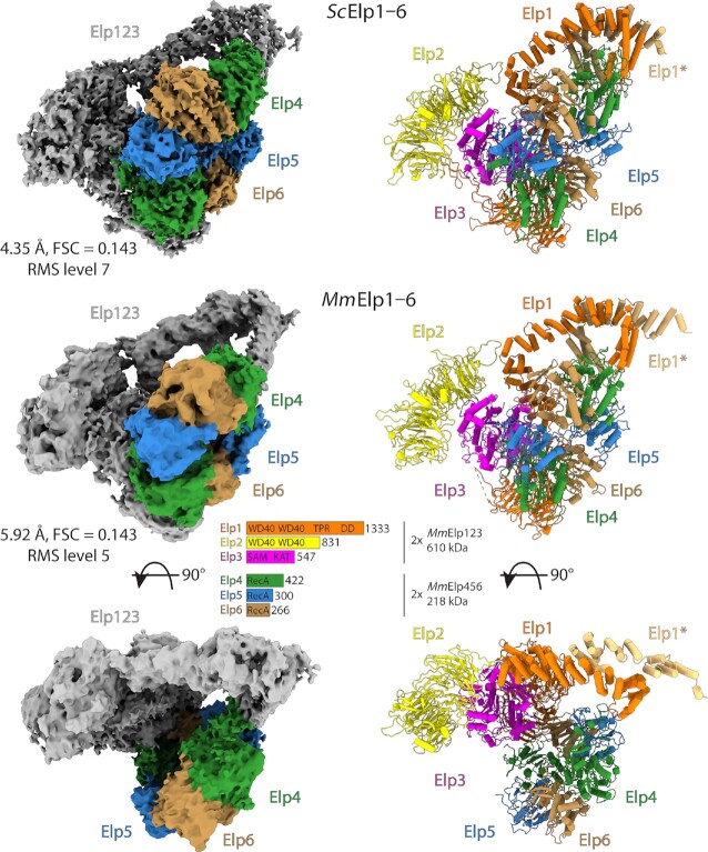 Figure 4.