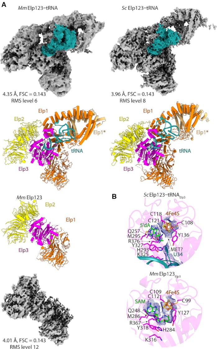 Figure 3.