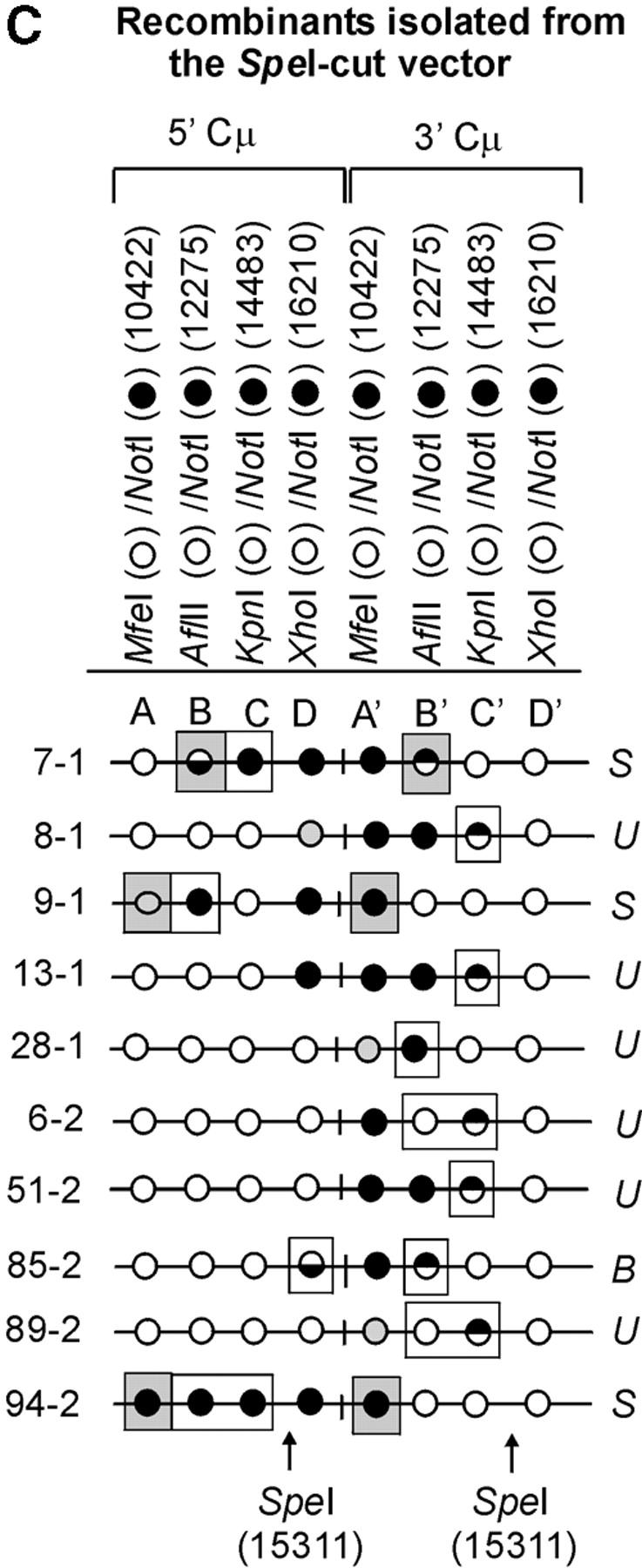 Figure 6.—