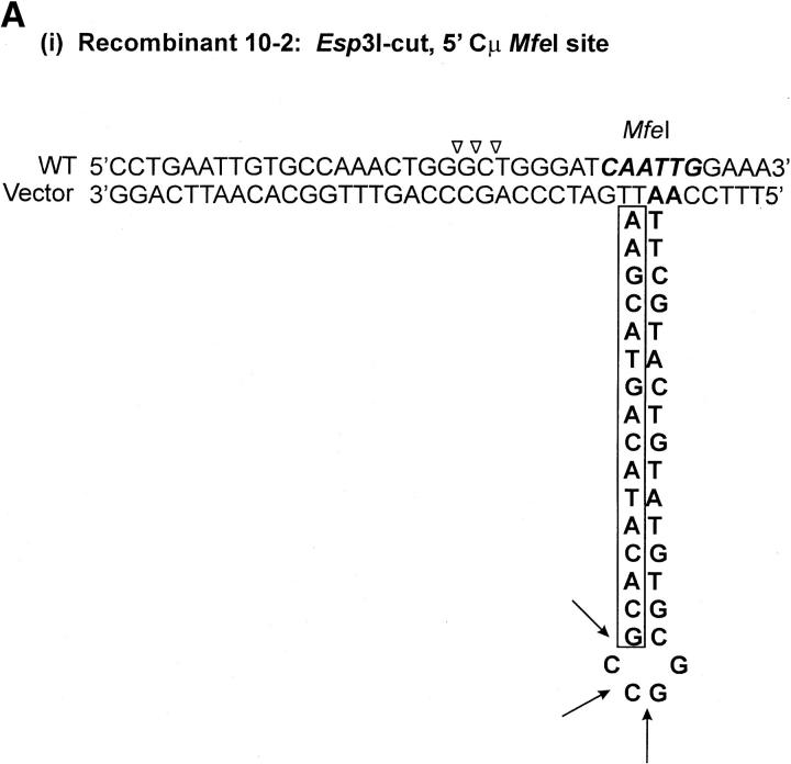 Figure 9.—