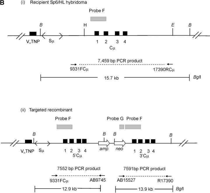 Figure 3.—