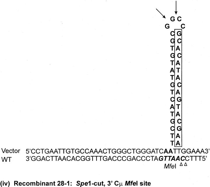 Figure 9.—