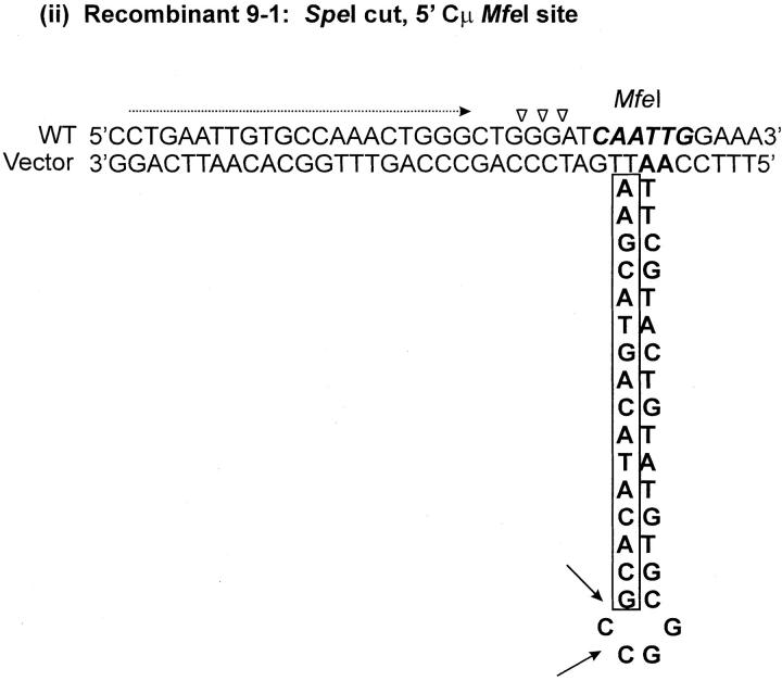 Figure 9.—