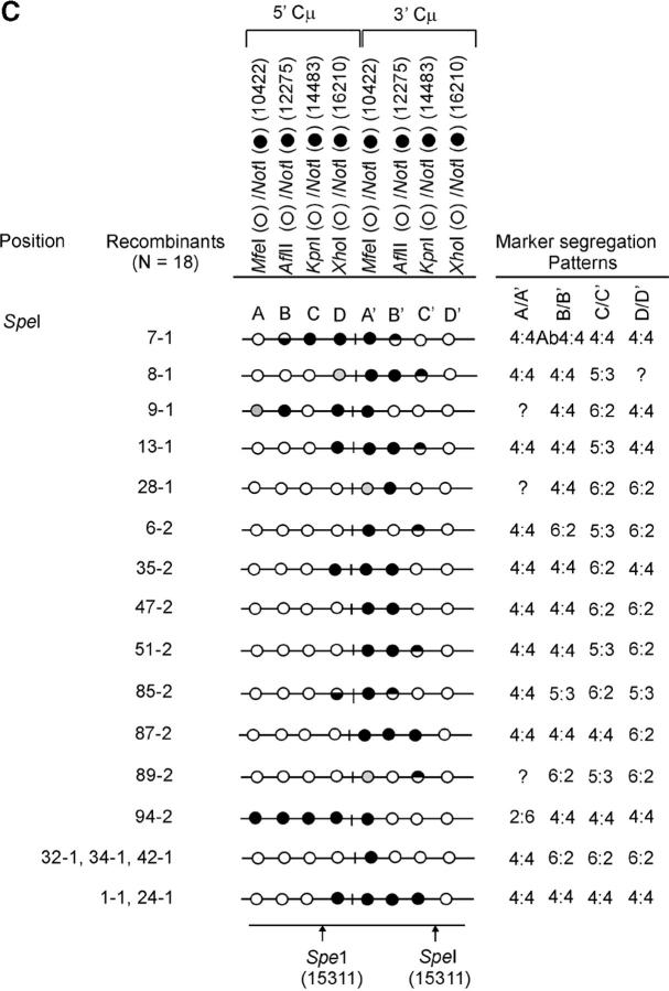 Figure 4.—