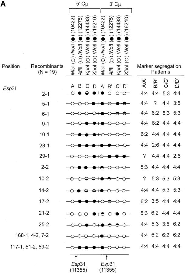 Figure 4.—