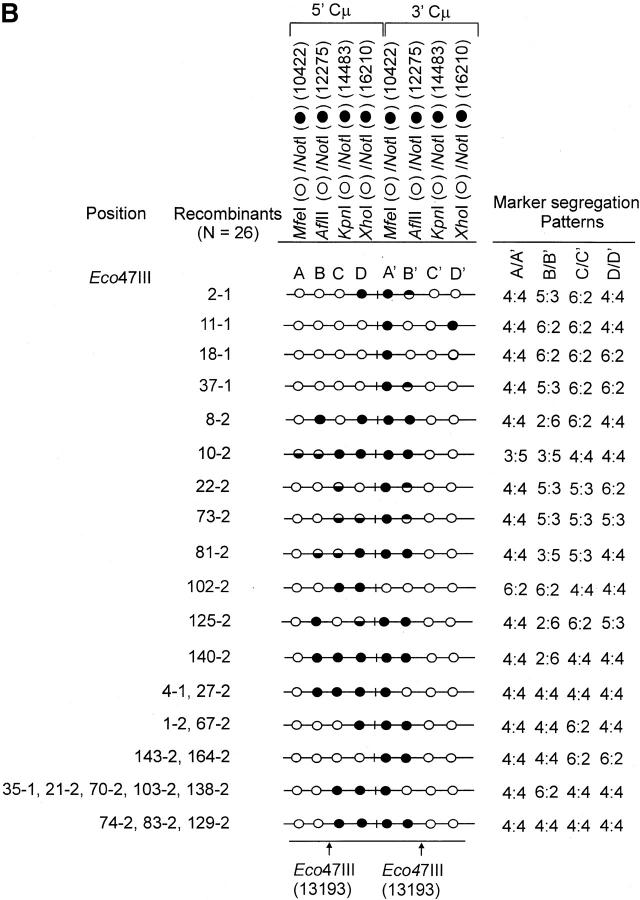 Figure 4.—