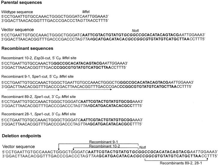 Figure 7.—