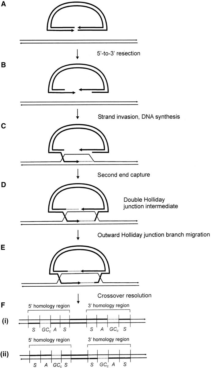 Figure 1.—