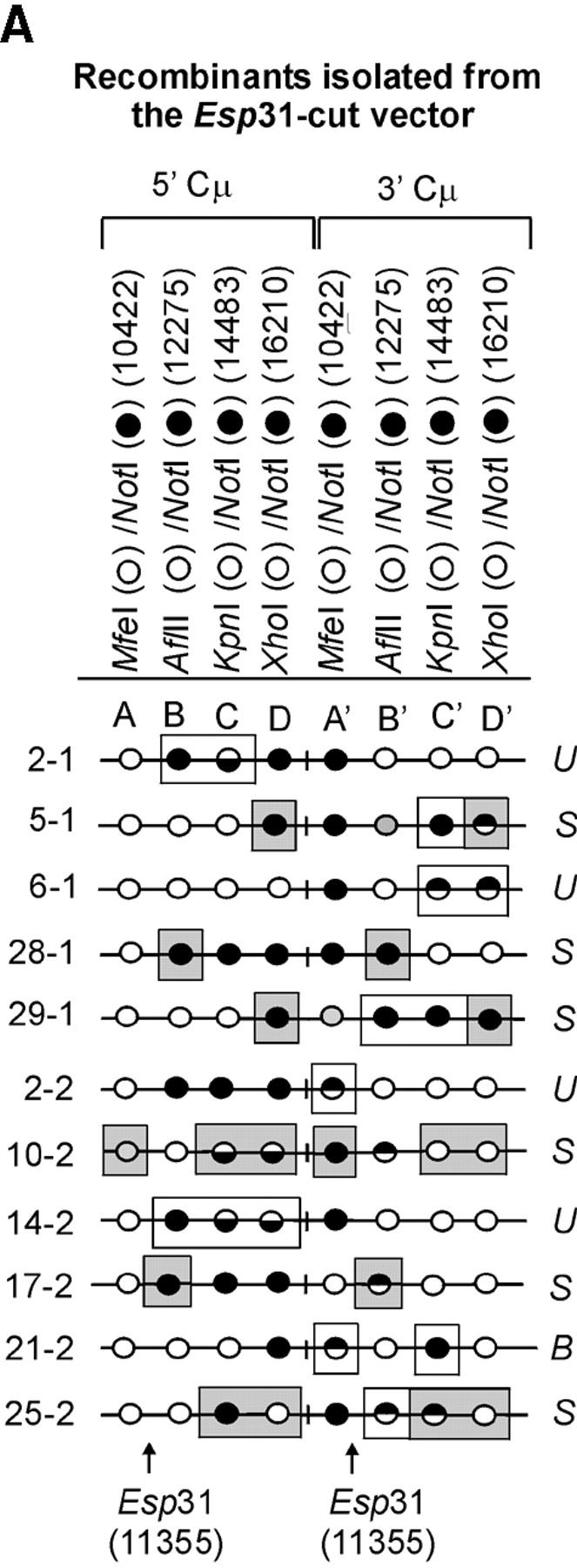 Figure 6.—