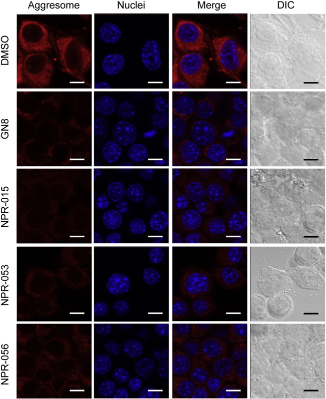 Fig. 6