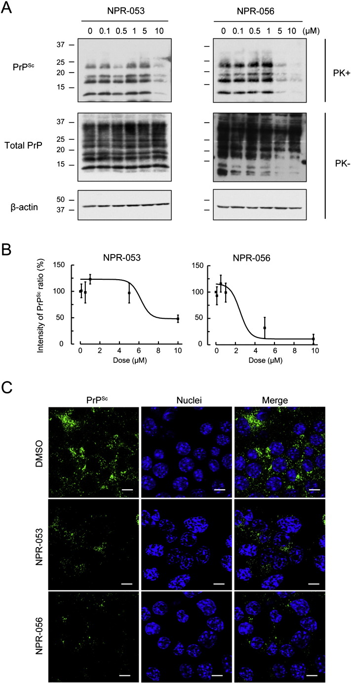 Fig. 2