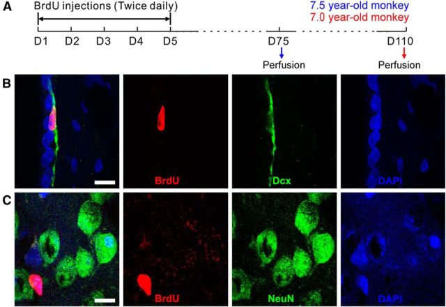 Figure 15.