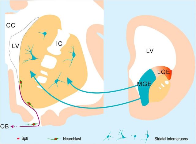 Figure 16.