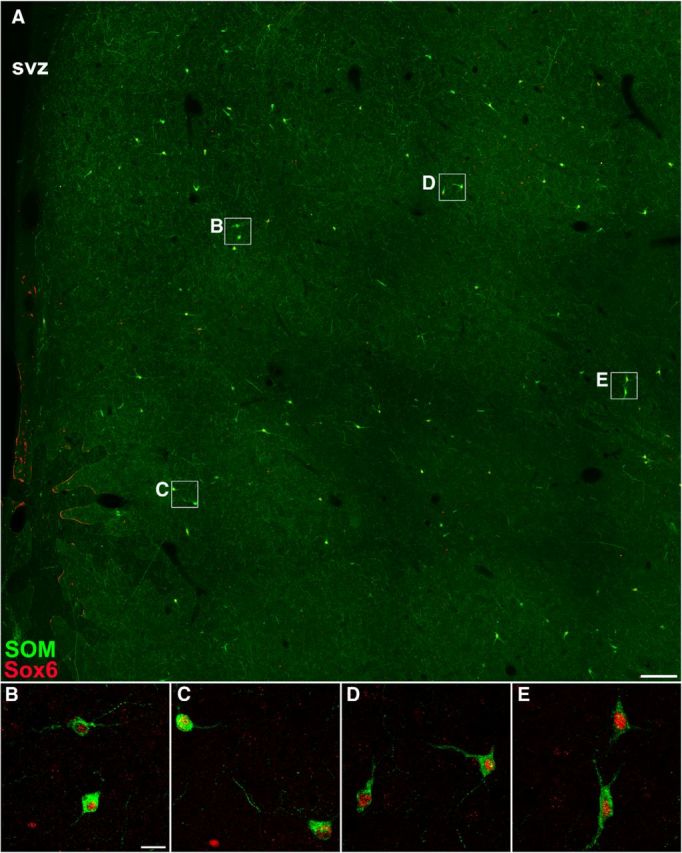 Figure 10.