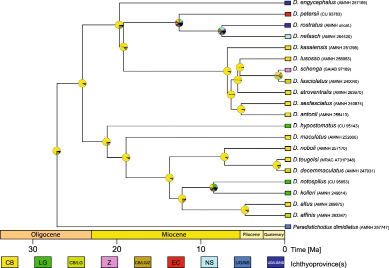 Fig. 7