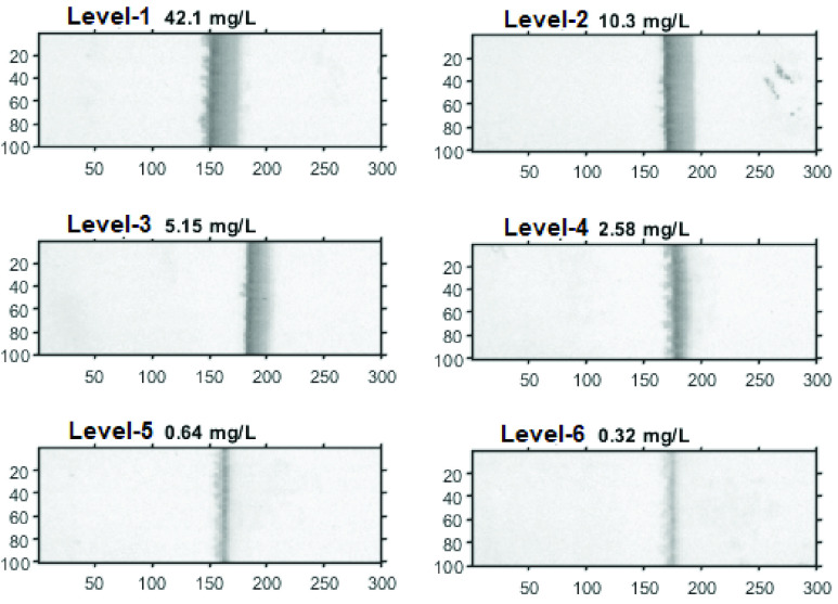 FIGURE 13.