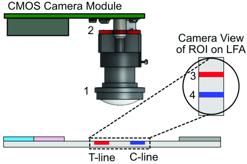 FIGURE 3.